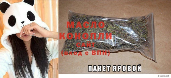 соль ск Ельня