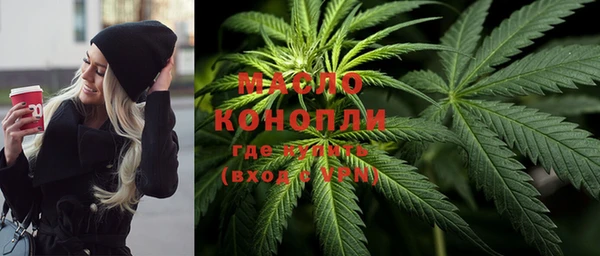соль ск Ельня